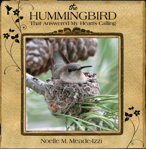 The Hummingbird that Answered My Heart's Calling -- book cover