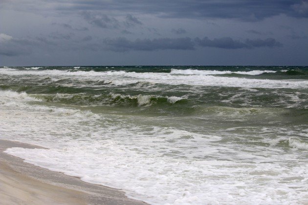 gulf islands, national seashore, birding, beach