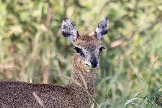 female eating