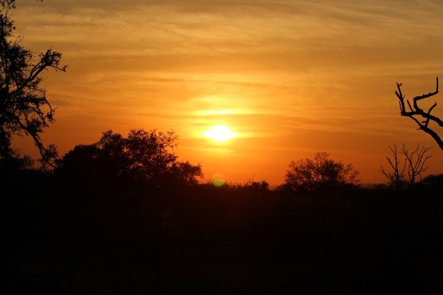Sunset Madikwe