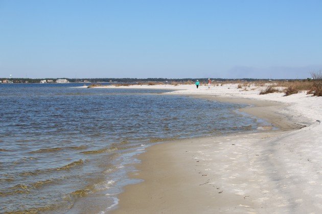 navarre, florida, nature