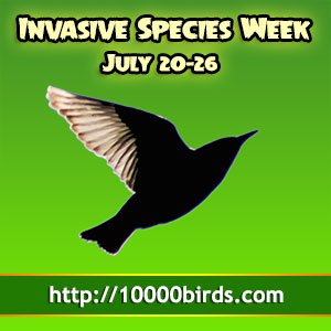 Invasive Species Week