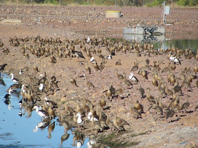 Kununurra Poo Ponds