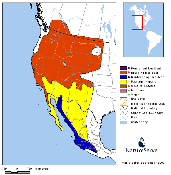 Lazuli Bunting Range Map