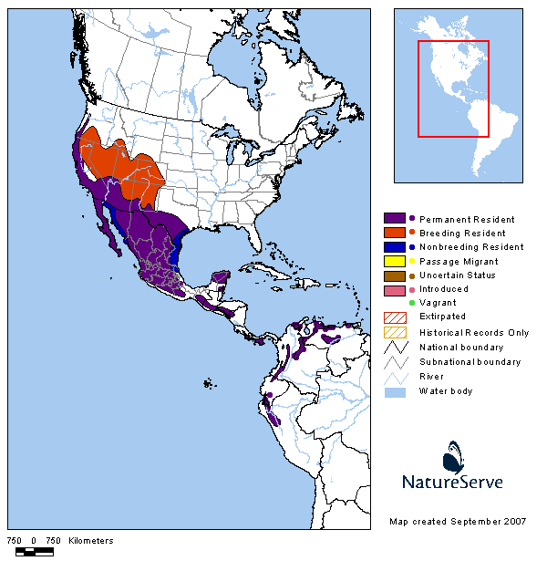 Lesser Goldfinch Range Map