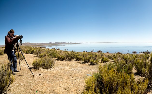 Laguna de Los Pozuelos