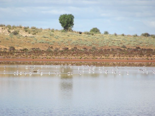 Lake Miranda (2)