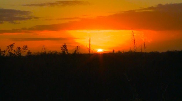 LakeApopka sunset