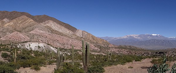 Los-Cardones NP