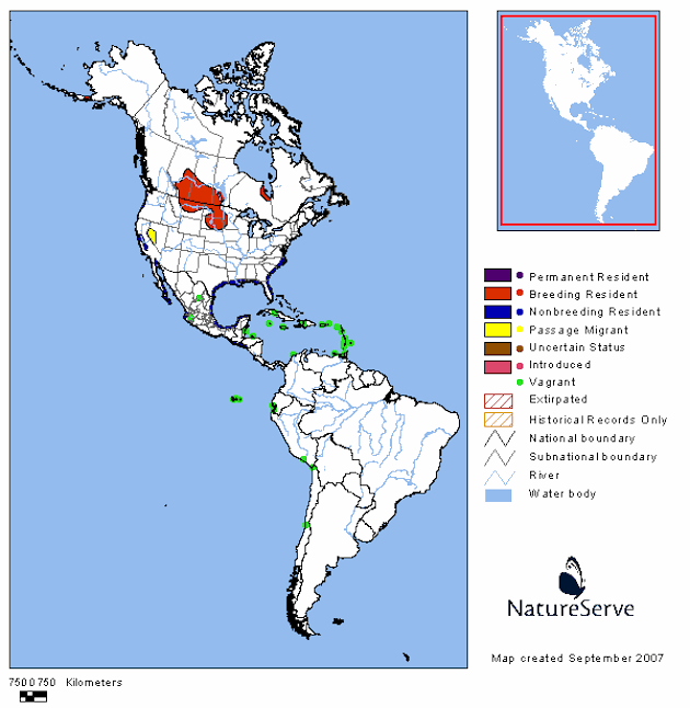 Marbled Godwit Range Map