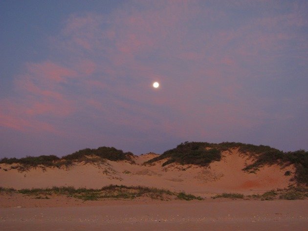 Moon rise Cable Beach