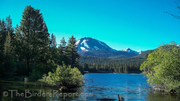 Mount Lassen From Manzanita Lake