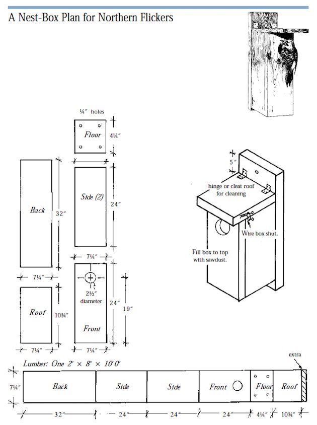 Northern Flicker Nest Box Plan