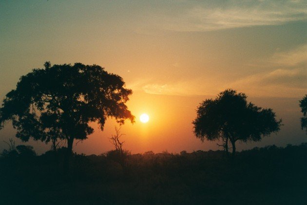 Okavango Sunset