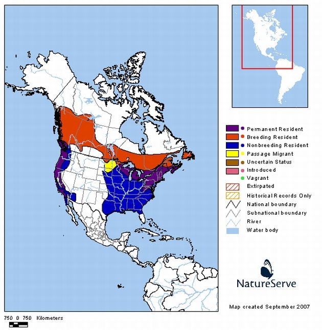 Purple Finch Range Map