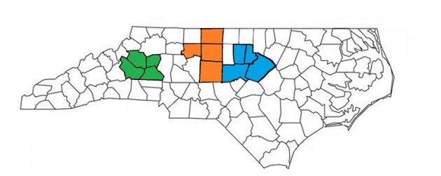 Piedmont eBird challenge