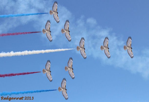 Red Arrows 01.