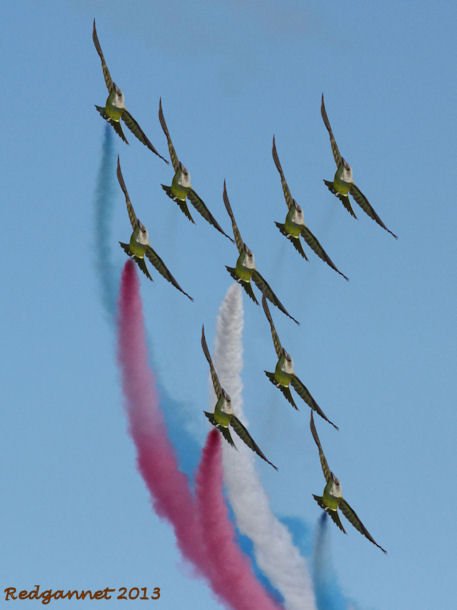 Red Arrows 03.