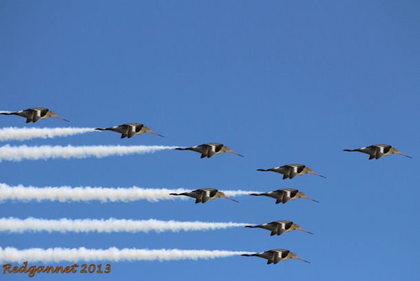 Red Arrows 04