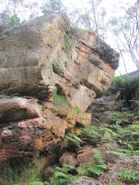 Rocky outcrop