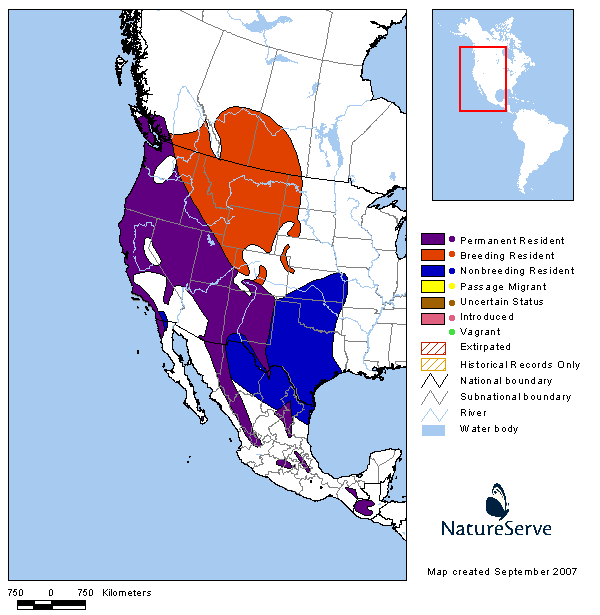 Spotted Towhee Range Map