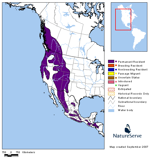 Steller's Jay Range Map