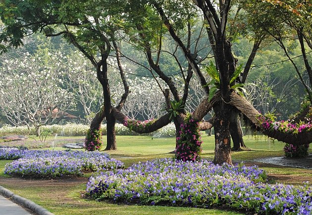 Suan Luang Park E