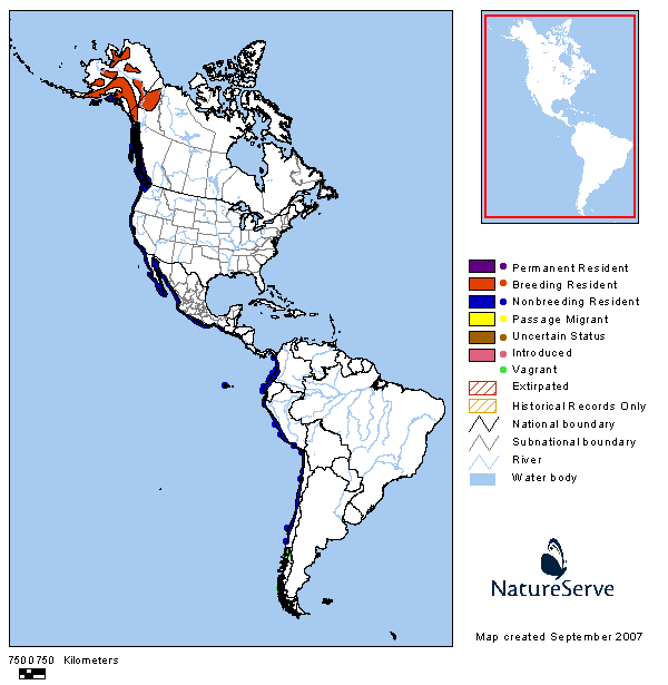 Surfbird Range Map