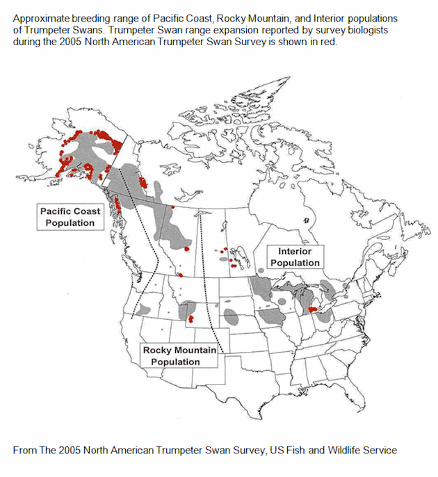 Trumpeter Swan Population Range Map