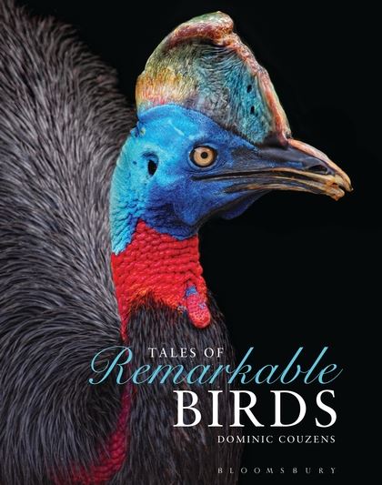 Tales of Remarkable Birds cover image, with Southern Cassowary on black background