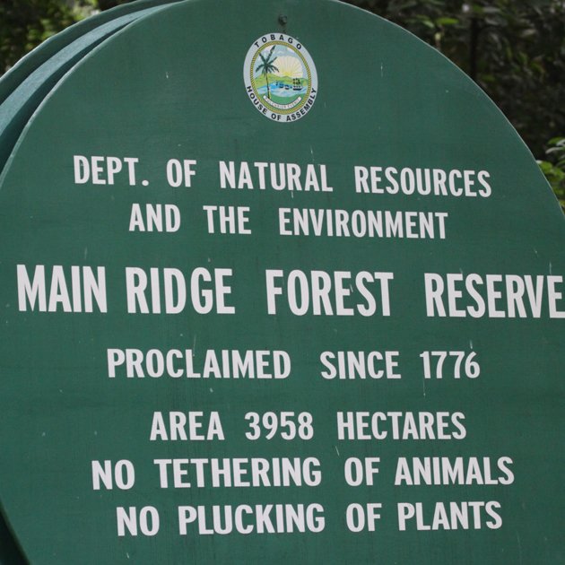 Main Ridge Forest Reserve