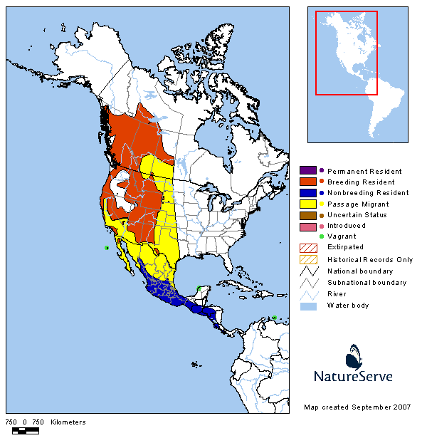 Western Tanager Range Map