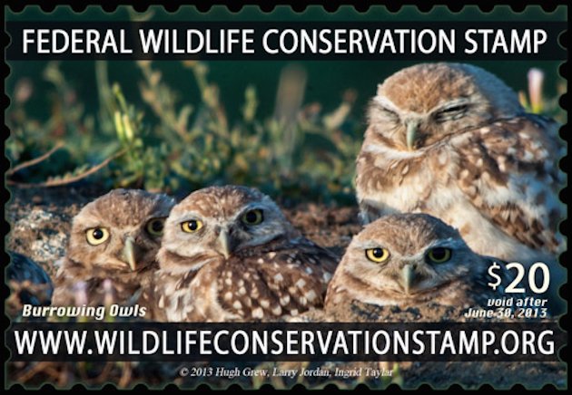 Wildlife Conservation Stamp