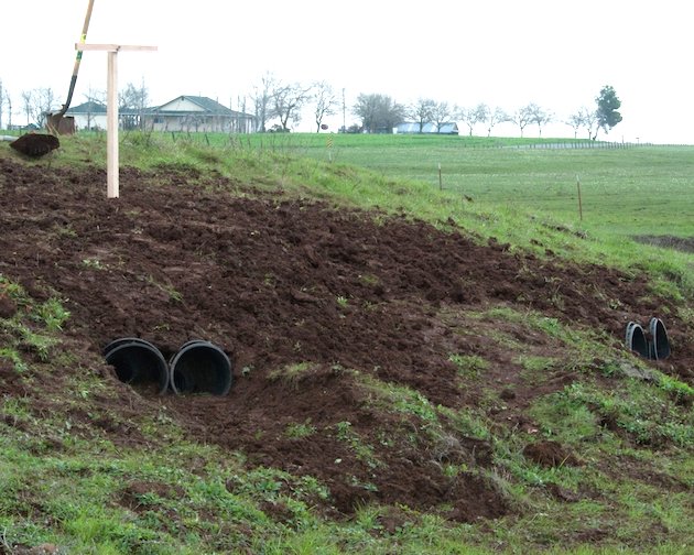 Burrowing Owl Artificial Burrows