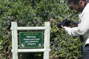 Jeff and the sign