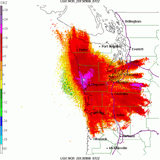 Bird movements tracked on radar in Washington State (Image by cliffblogspot.com)