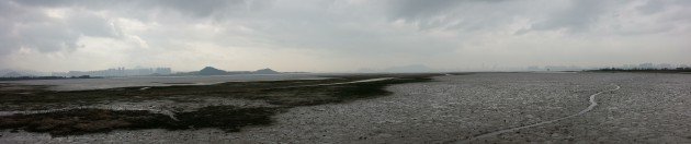 Deep Bay mudflats panorama