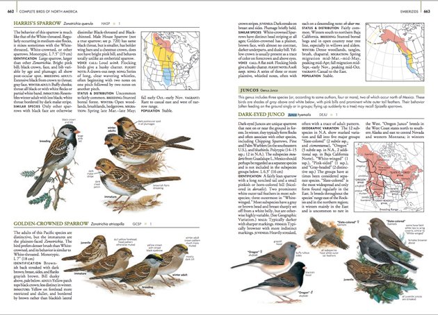 National Geographic Field Guide to the Birds of North America [Book]