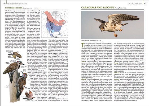 National Geographic Complete Birds of North America, 2nd Edition: A Book  Review - 10,000 Birds