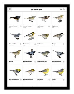 finder warbler app