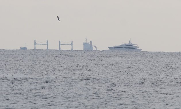 gull and ships