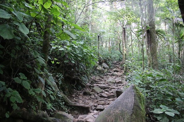 gunung gede