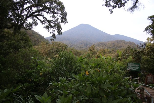 gunung pangrango