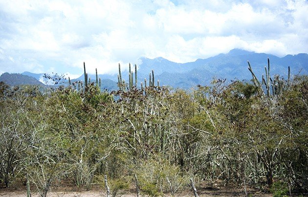 Rio Aguan Valley Honduras 