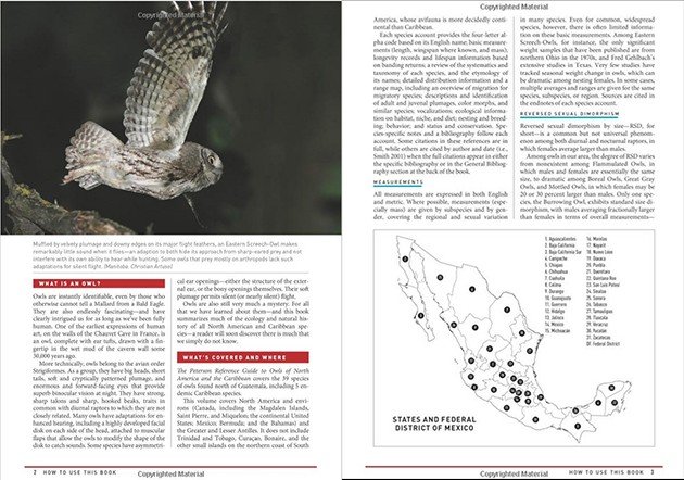 introduction owls