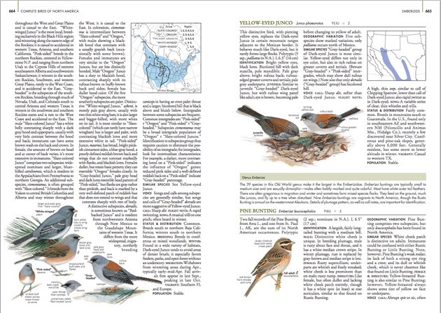 COMPLETE BIRDS OF NORTH AMERICA