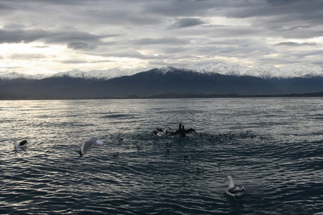 kaikoura