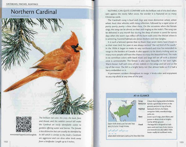 nasongbirds.cardinal.a