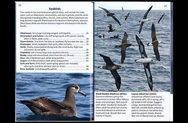 offshore.seabirds