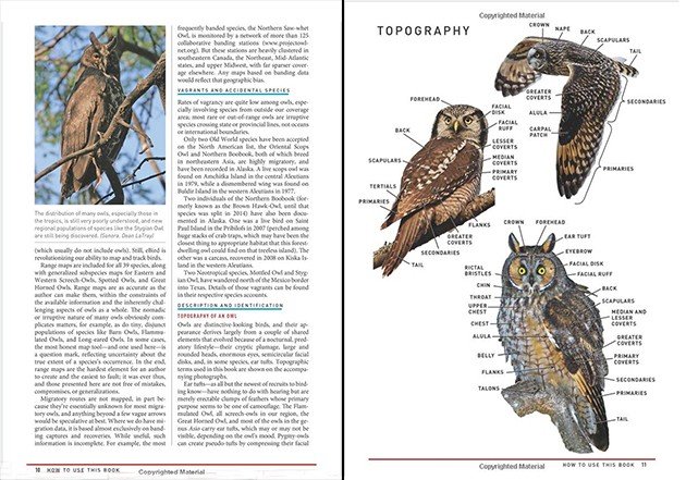 pages 10 11 topography owls
